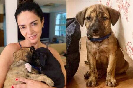 Claudia Ohana devolve cães adotados e é criticada por Luisa Mell