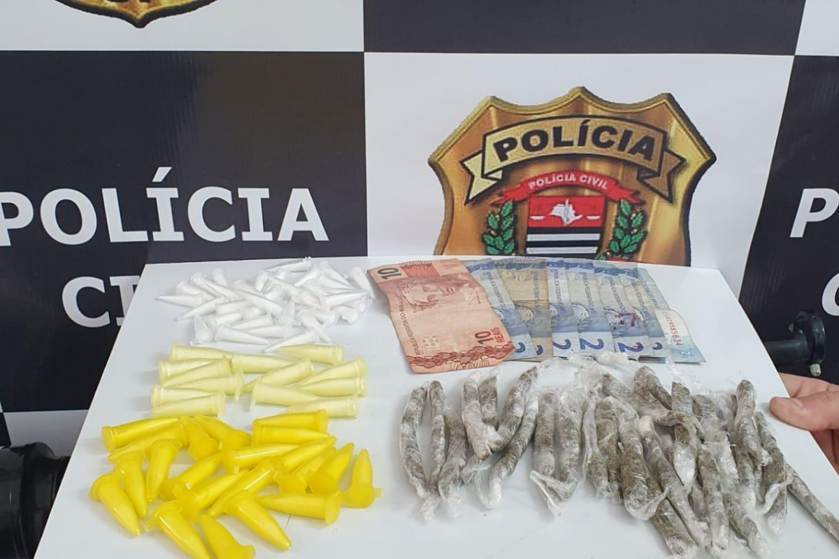 Drogas foram apreendidas pela Polícia Civil