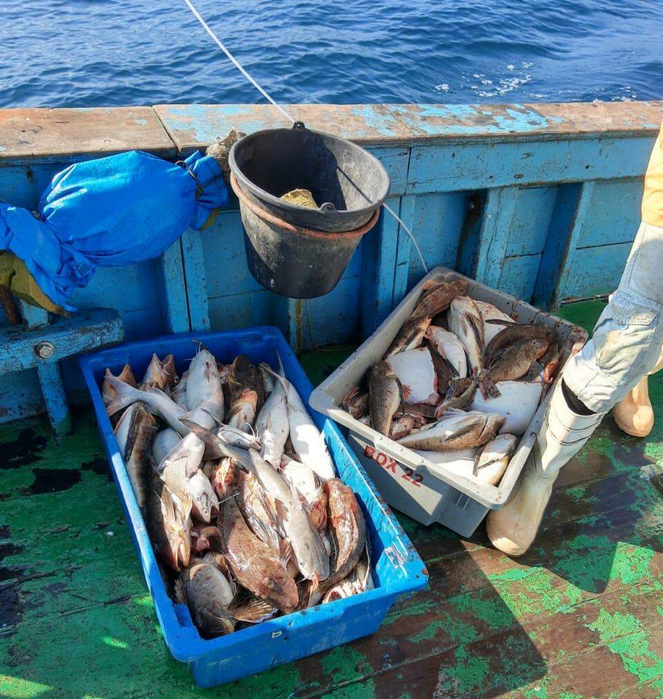 Todos os 400 quilos de peixes a bordo da embarcação foram doados à instituições beneficentes
