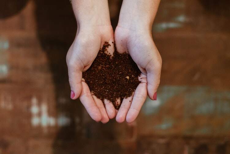 Adubo orgânico proveniente de compostagem faz solo ficar mais fértil para o plantio