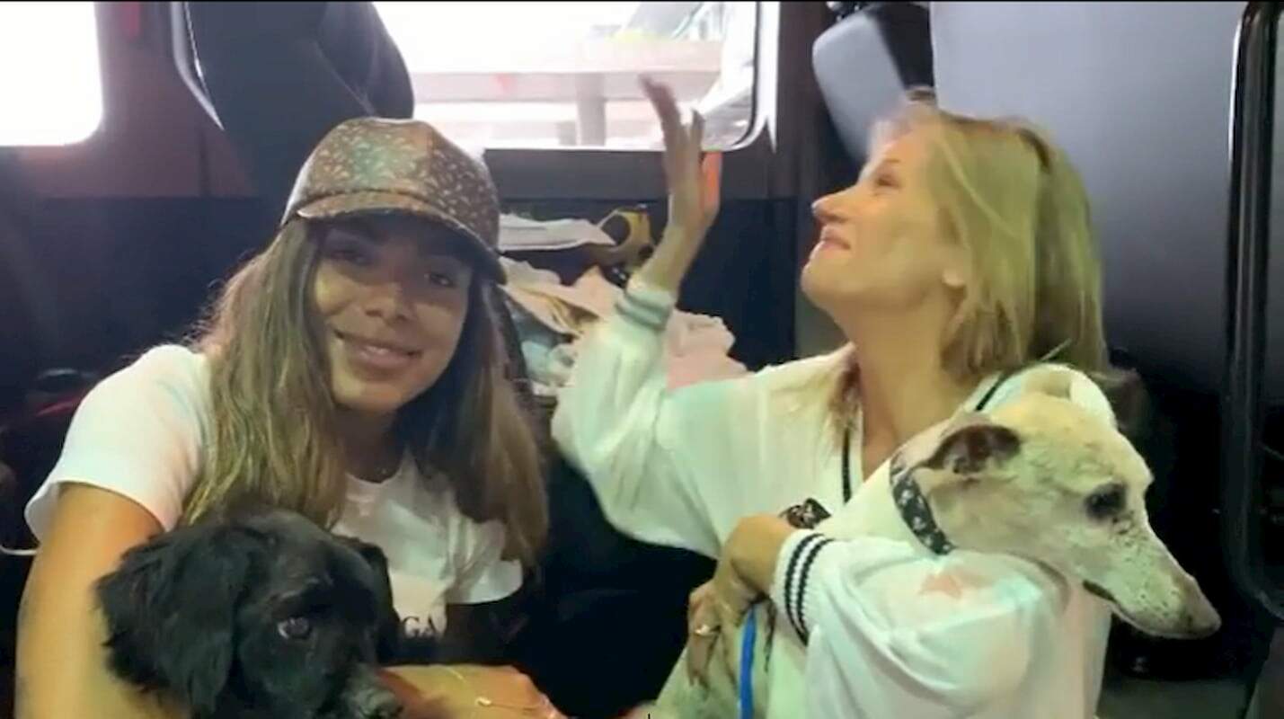 Anitta e Luísa Mell com cães adotados