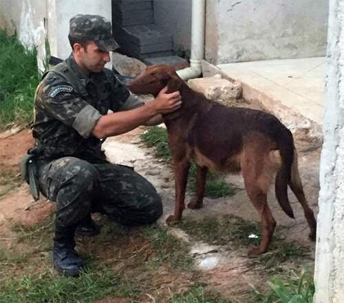 Tenente Coimbra com cão durante o serviço militar