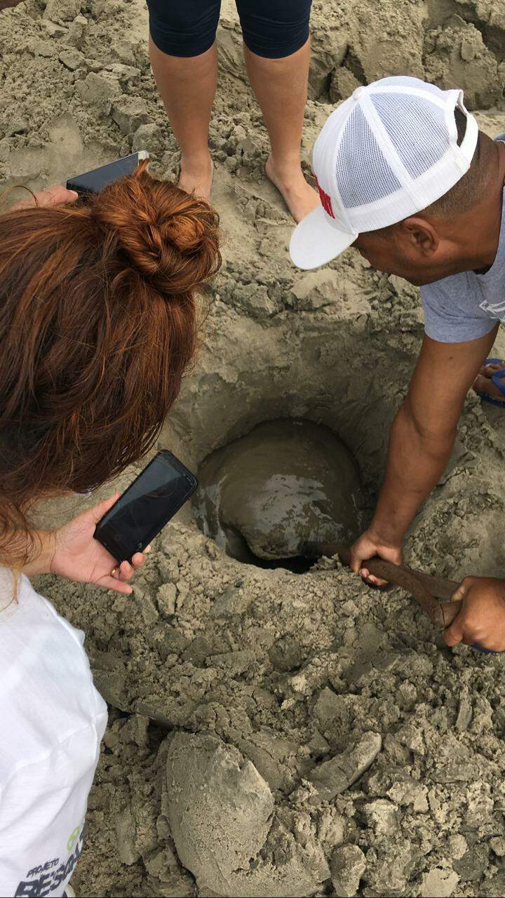Biólogos escavaram pontos na praia de Mongaguá nos quais a ossada foi encontrada por banhistas