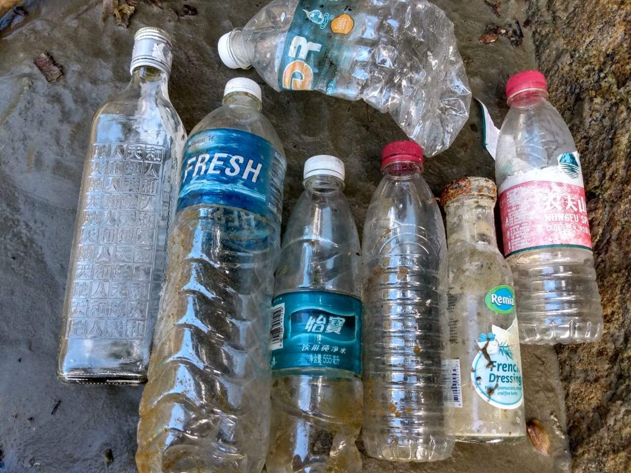 Foram encontradas várias garrafas de plástico e uma de vidro