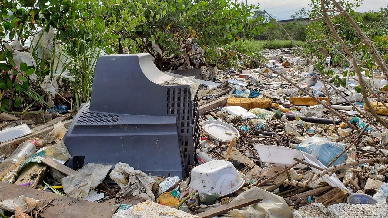 Lixo acumulado no mangue do São Manoel gera preocupação com a conservação do ecossistema 