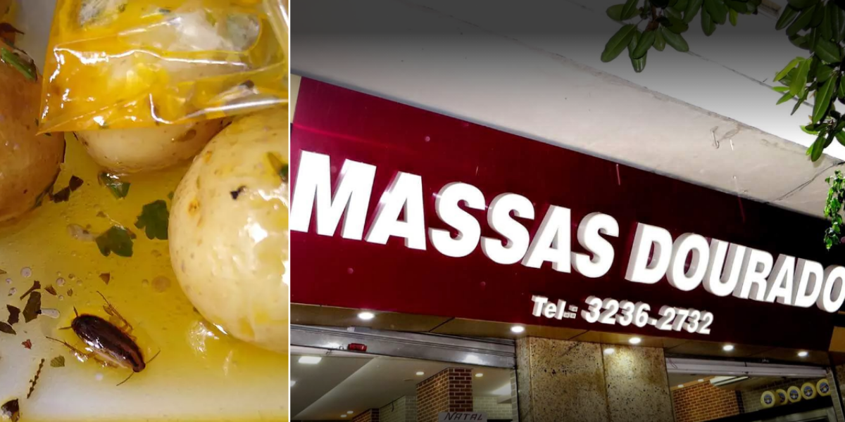 Restaurante de Santos que serviu 'barata gratinada' é fechado pela vigilância sanitária 