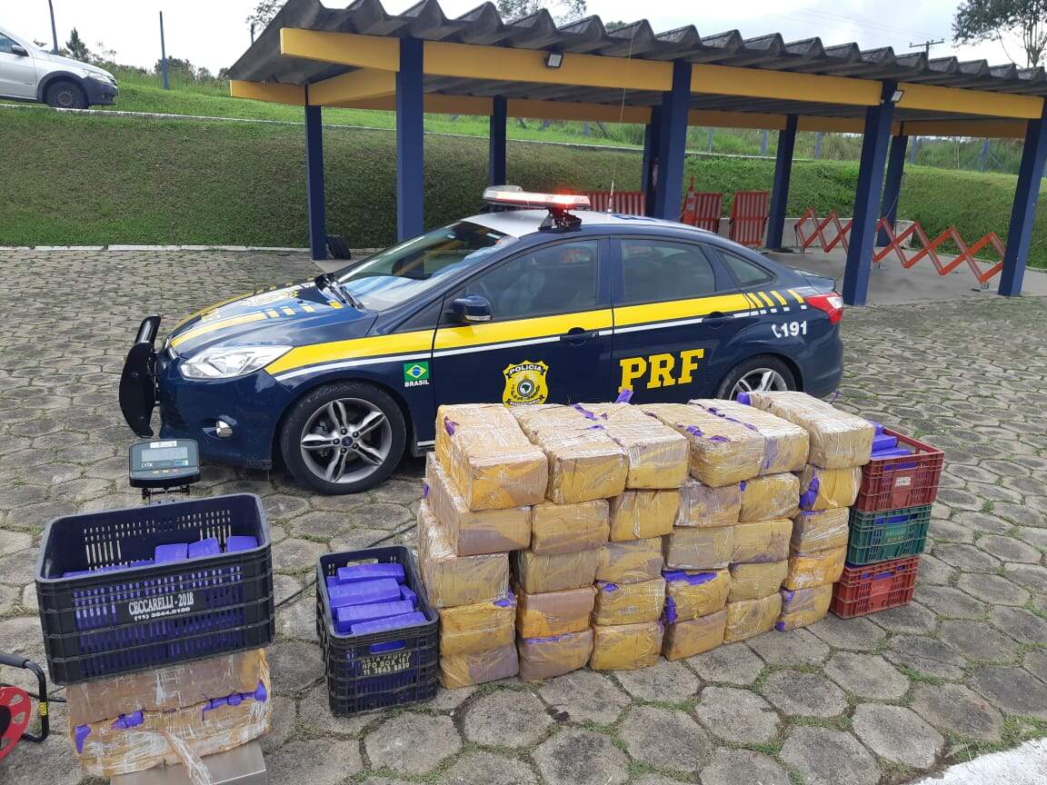 PRF encontrou 660kg de maconha em carregamento de bananas na Rodovia Régis Bittencourt