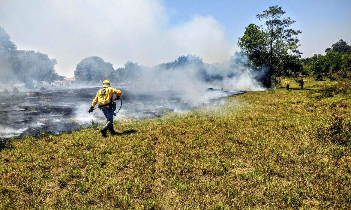 Neste ano, houve cerca de 50% de redução de áreas queimadas nas unidades de conservação do DF