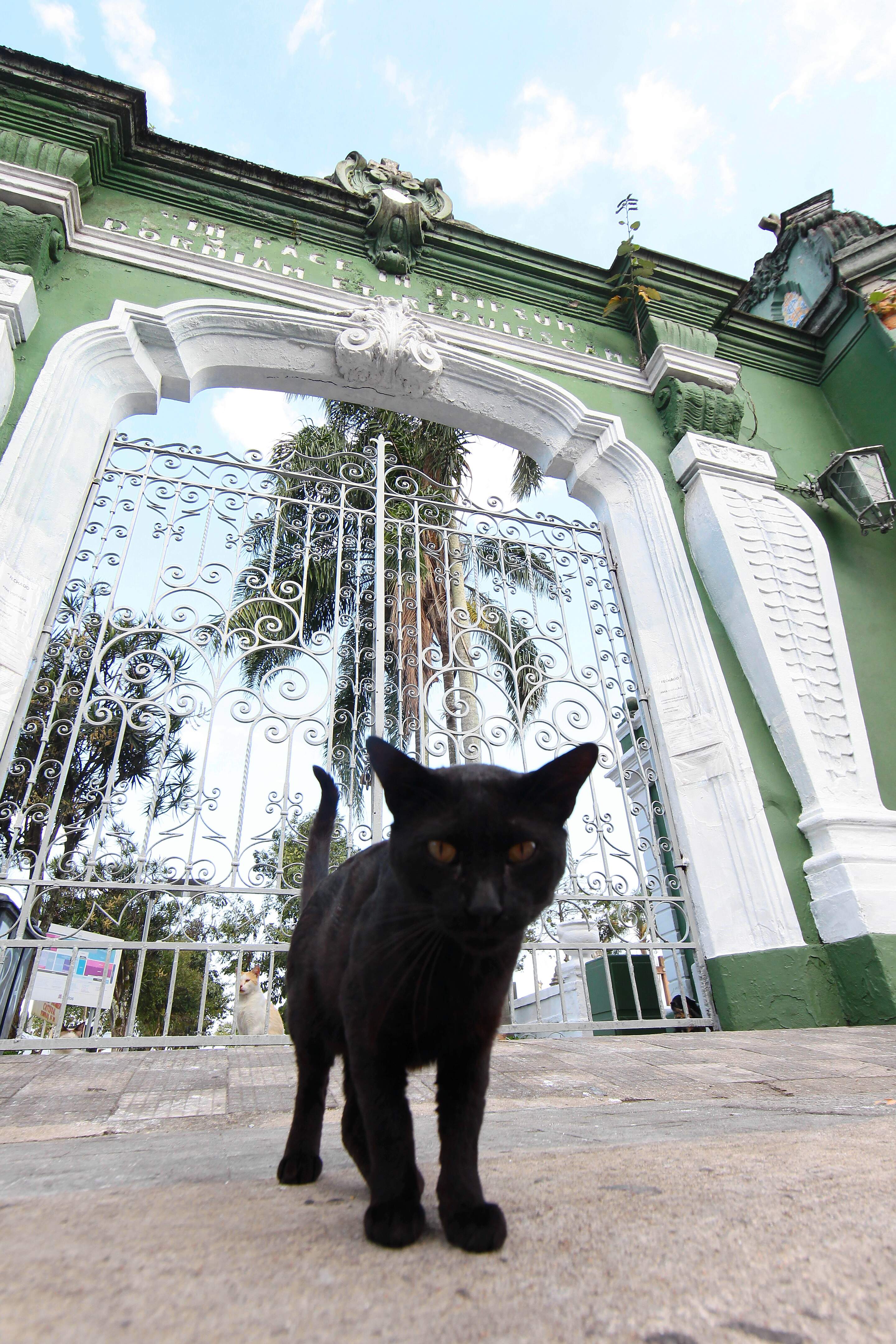 Em Santos, cemitérios foram reabertos na última quinta-feira, após meses de restrições