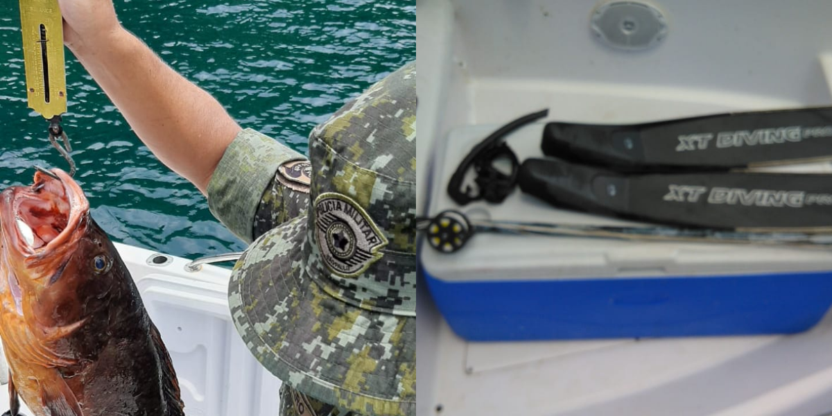 Peixe e artigos de pesca foram apreendidos pela Polícia Ambiental na ação