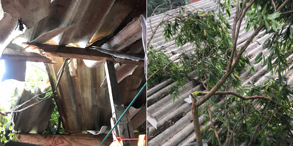 Ventos derrubaram árvores e destruíram telhas de barracos em morros de Santos