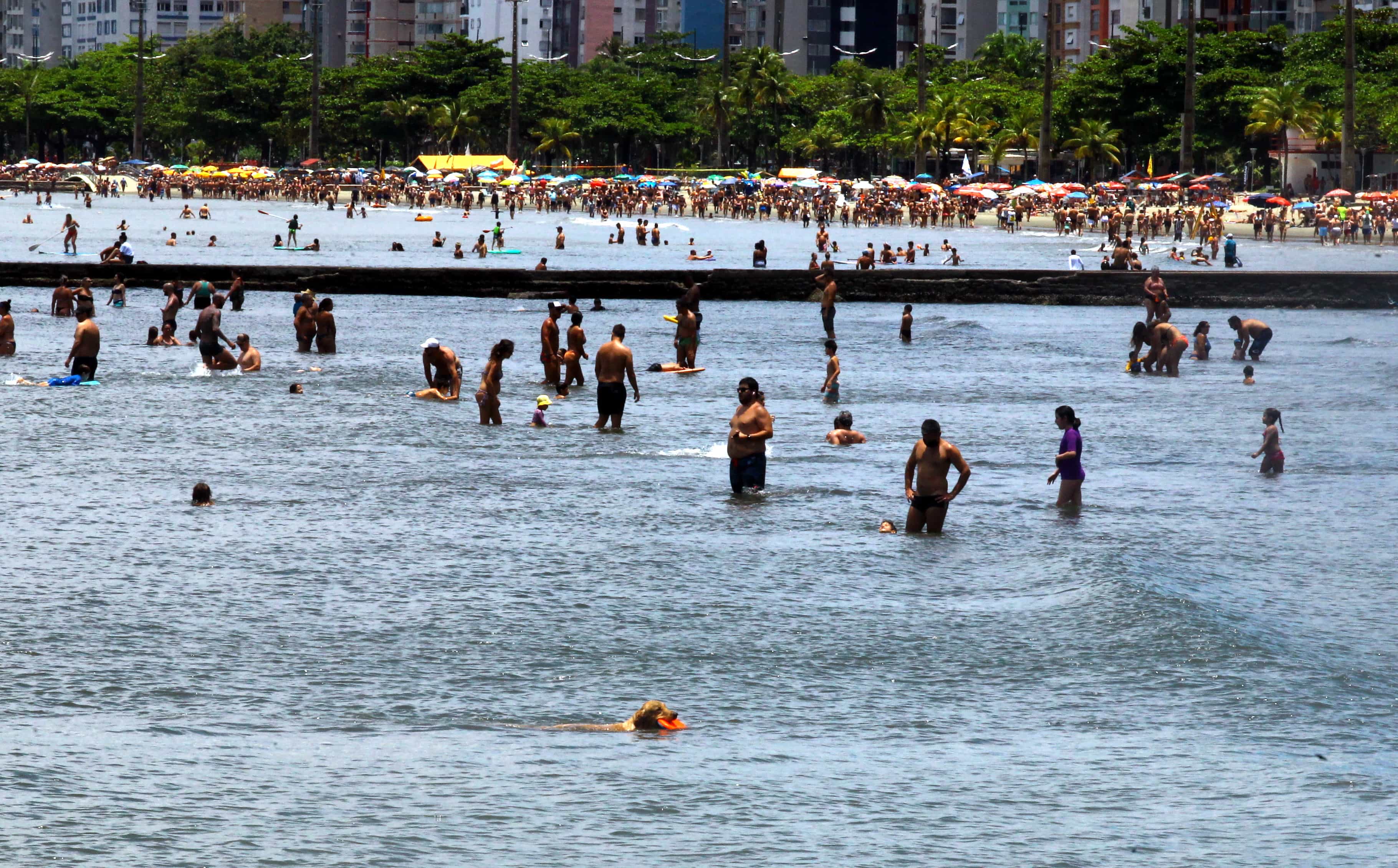 Calor atraiu banhistas para as praias de Santos 