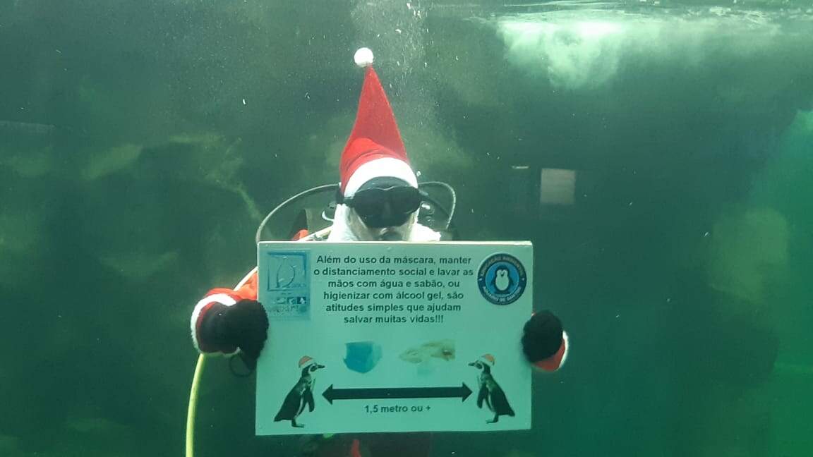 Com mensagem consciente, Papai Noel faz mergulho de Natal no Aquário de  Santos