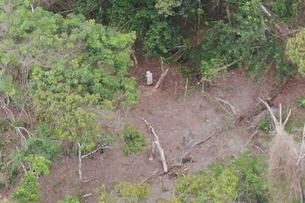 Drone auxiliou a encontrar área desmatada
