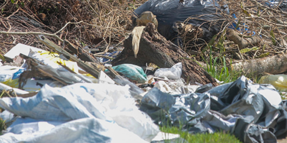 Plástico, sofás destruídos e restos de alimentos estão entre os resíduos encontrados