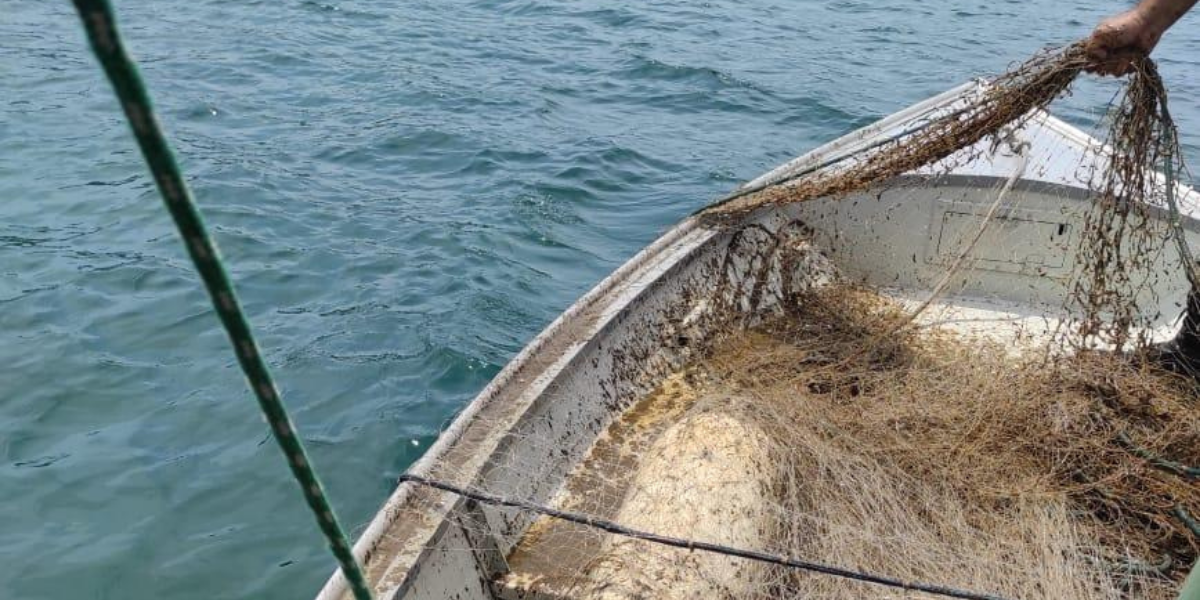 Rede de pesca irregular foi encontrada em Praia Grande 
