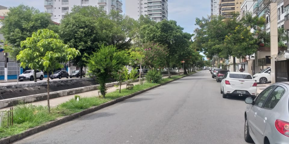 Agressão aconteceu na Avenida Almirante Cochrane em Santos 