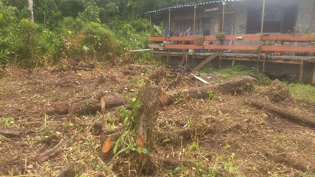 Policiais constataram a supressão de vegetação nativa no terreno em Itanhaém, no Litoral Sul