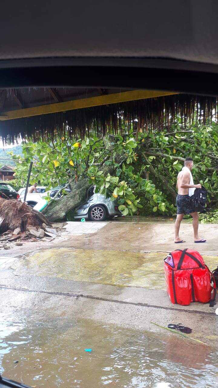 Carro ficou destruído após ser atingido por uma árvore, que desabou em decorrência do temporal 