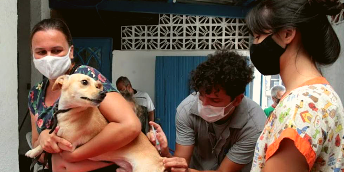 Serão aplicadas as vacinas V10 para cães e V4 para gatos