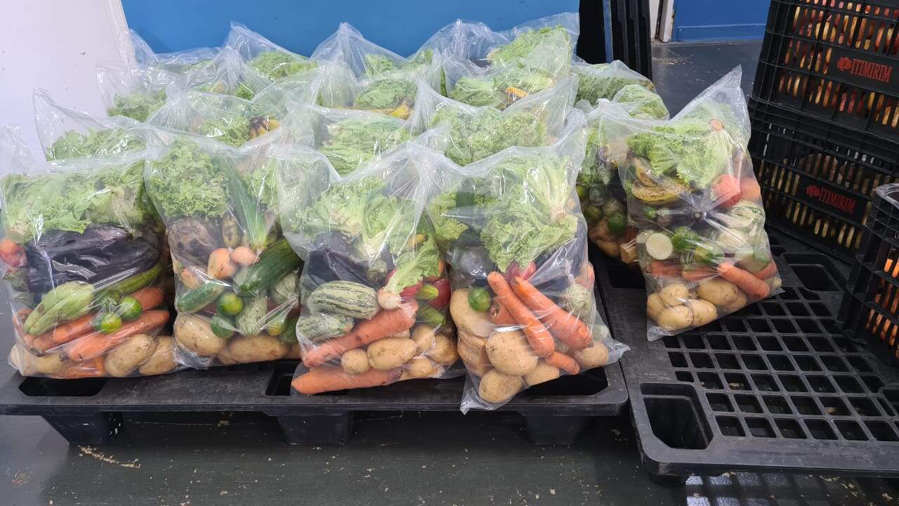 São recolhidos em torno de 700 a 900 kg de alimentos, entre frutas, legumes e verduras