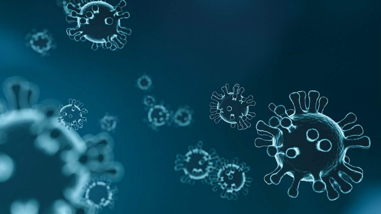 A Alesp terá papel decisivo na implementação das novas medidas de enfrentamento ao vírus