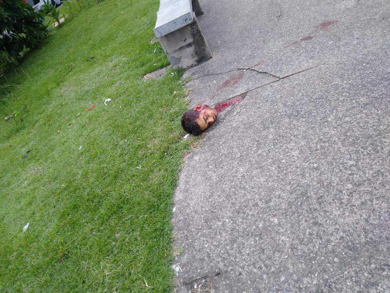 Moradora encontrou a cabeça em uma praça na Cidade Náutica, nesta segunda-feira
